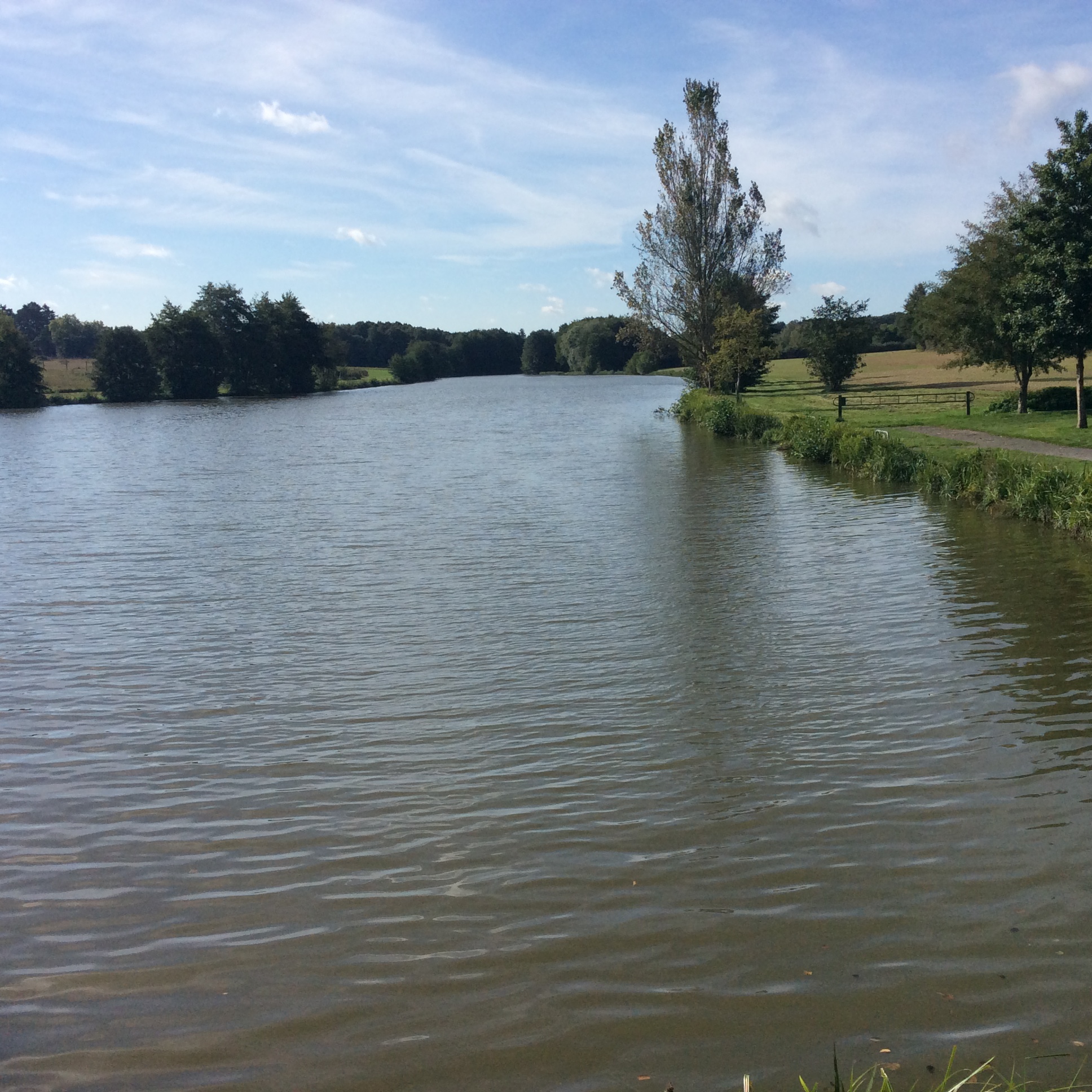 Plan d'eau amont de Nogent sur Vernisson