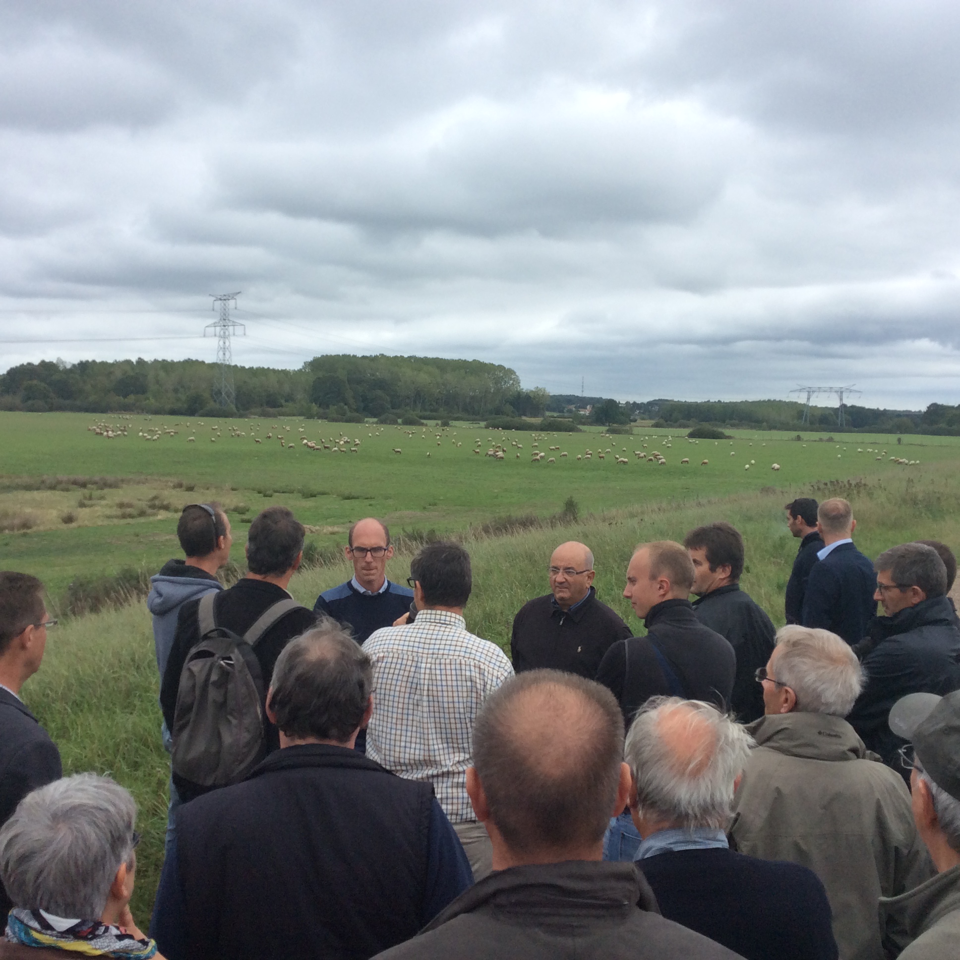Pastoralisme en bord de Loire