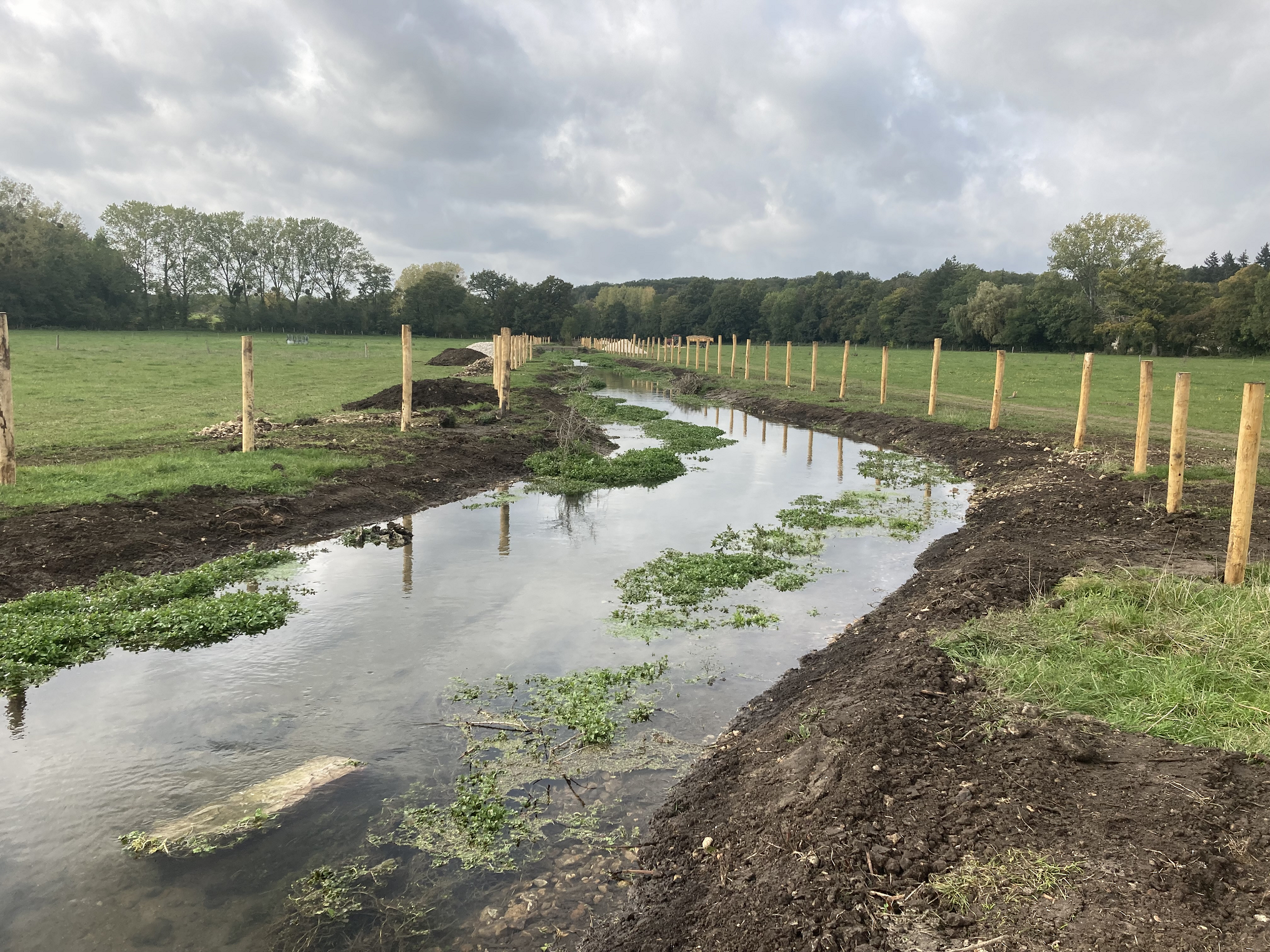 Retalutage des berges d'une pente de 1m pour 2m sur le tronçon T02