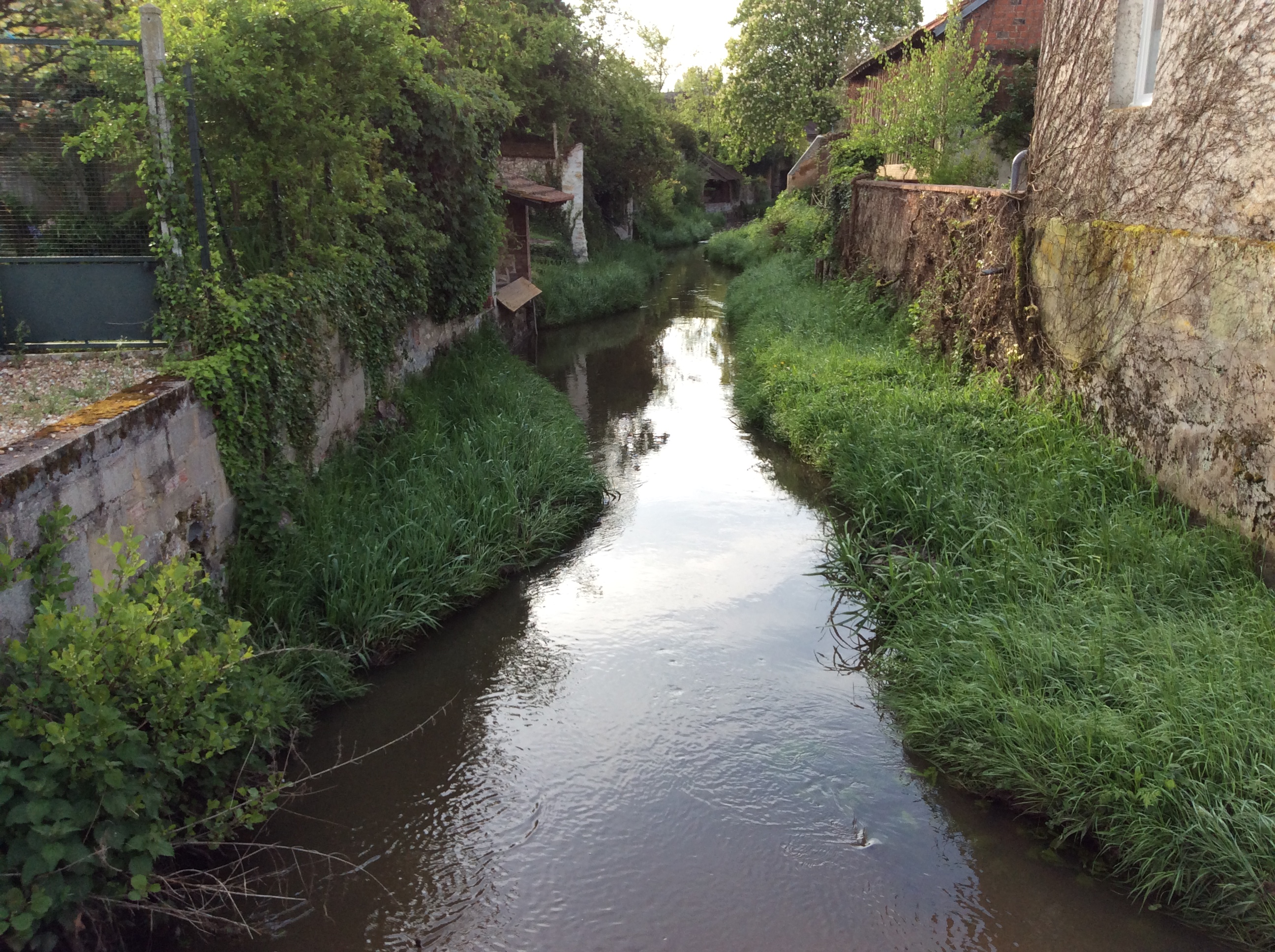 La Bezonde sur la commune de Ladon