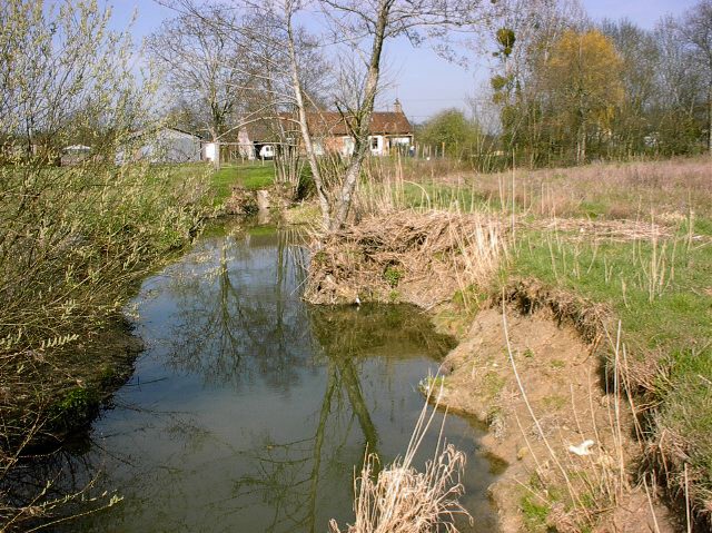 Les berges de la Bezonde fragilisées par les vitesses d'écoulement - St Maurice sur Fessard