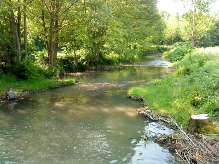 L'ouanne suite à un entretien de la ripisylve - Château Renard