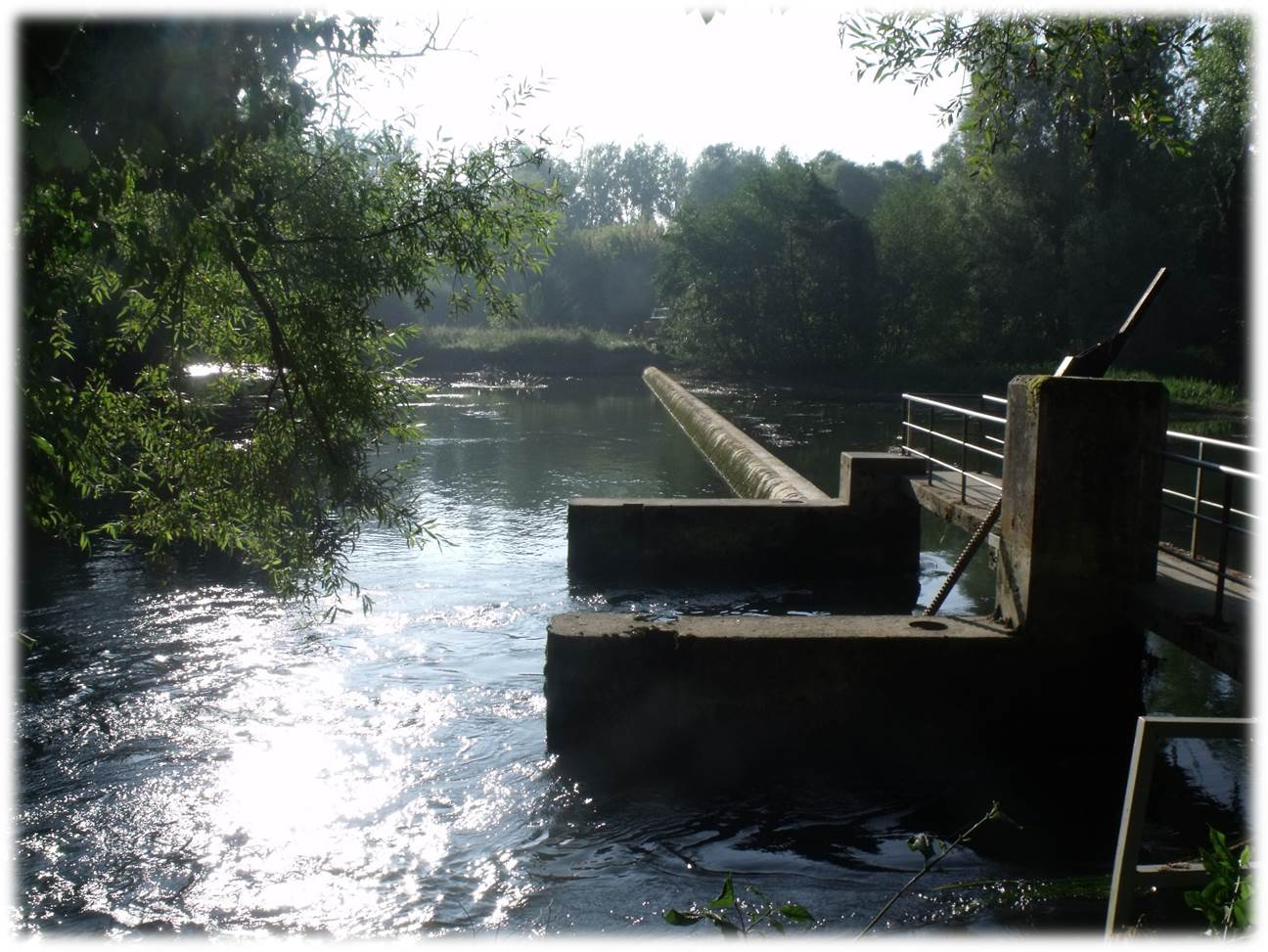 Le Loing au déversoir de la Vallée à Fontenay sur Loing (45)