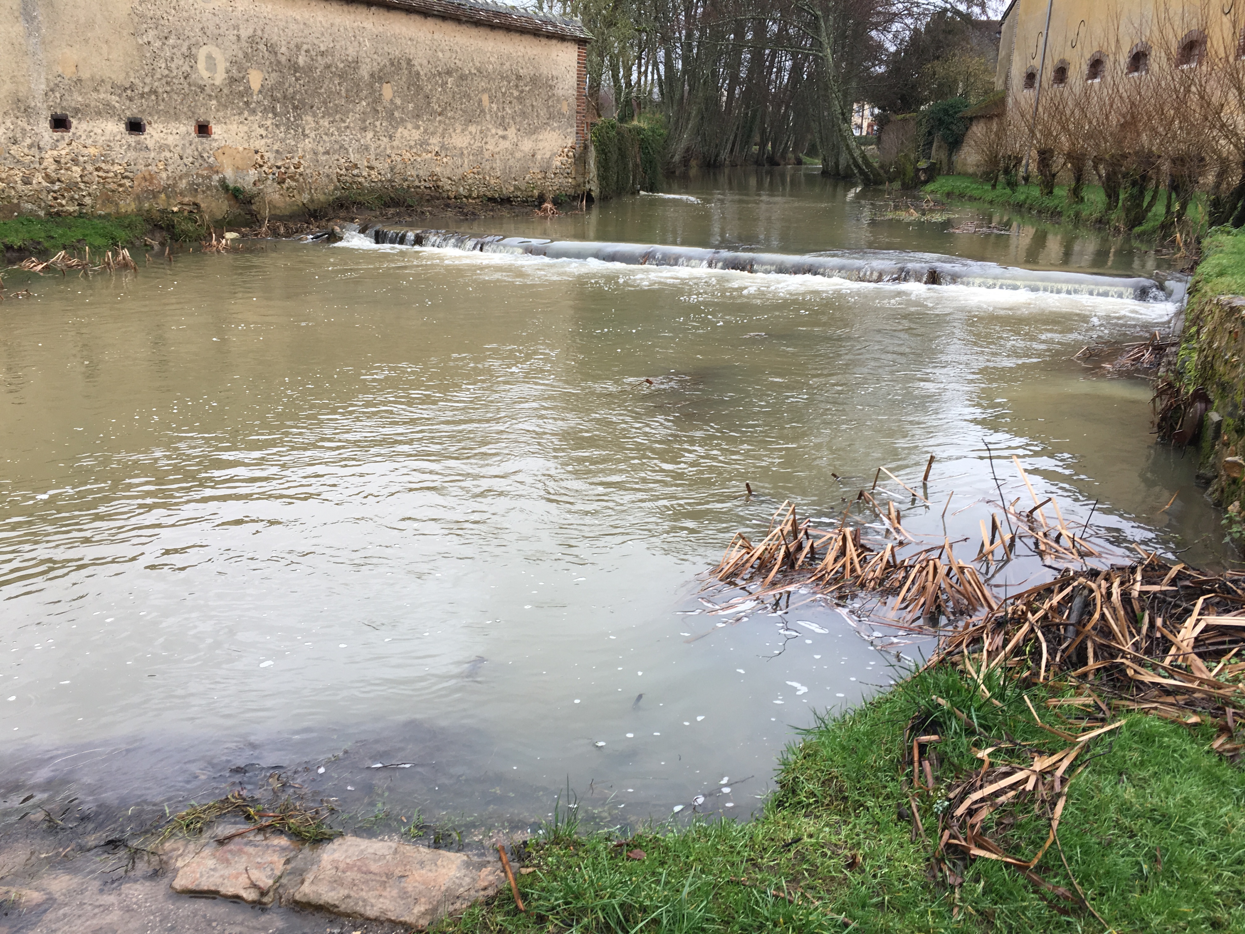 Avant la suppression des poteaux