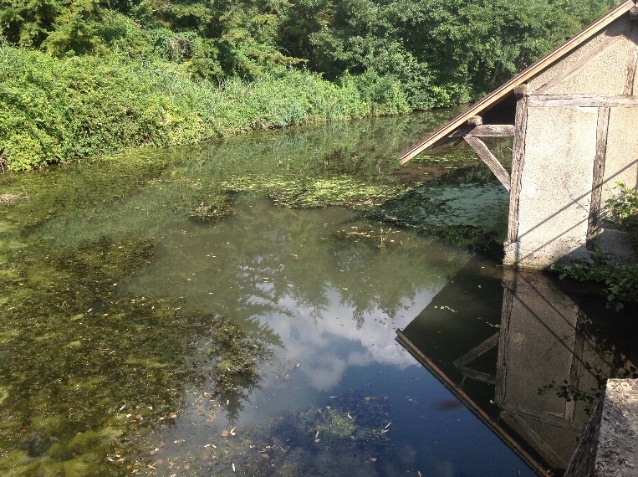 Avant travaux vu du lavoir