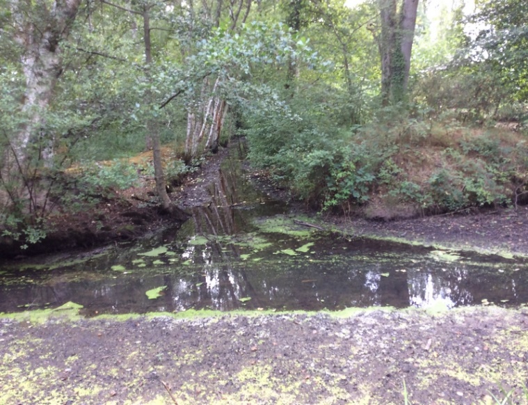 Interception du cours de la Trève par la rigole de Courpalet