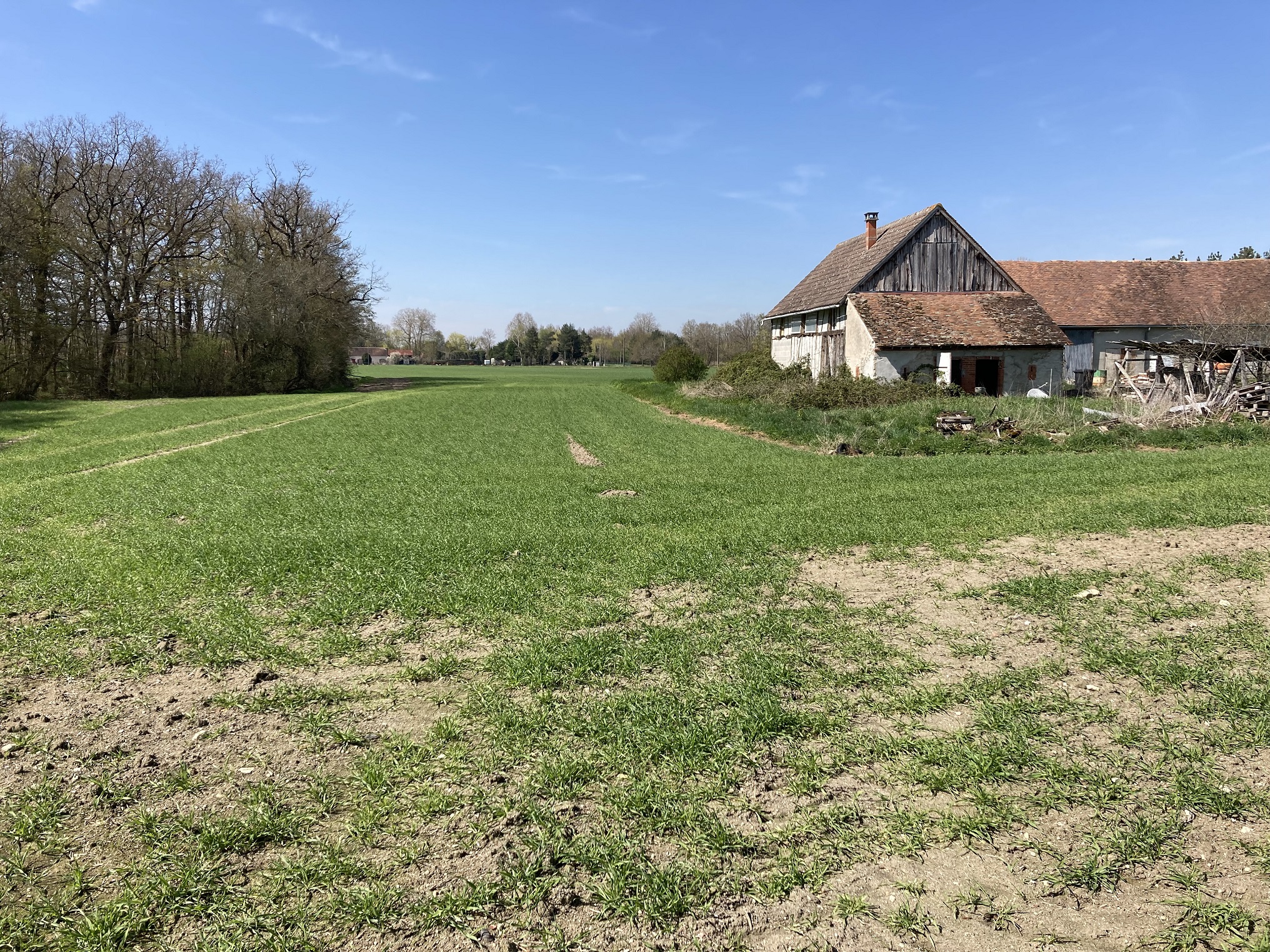 La parcelle agricole avant toute intervention - 06/04/2023