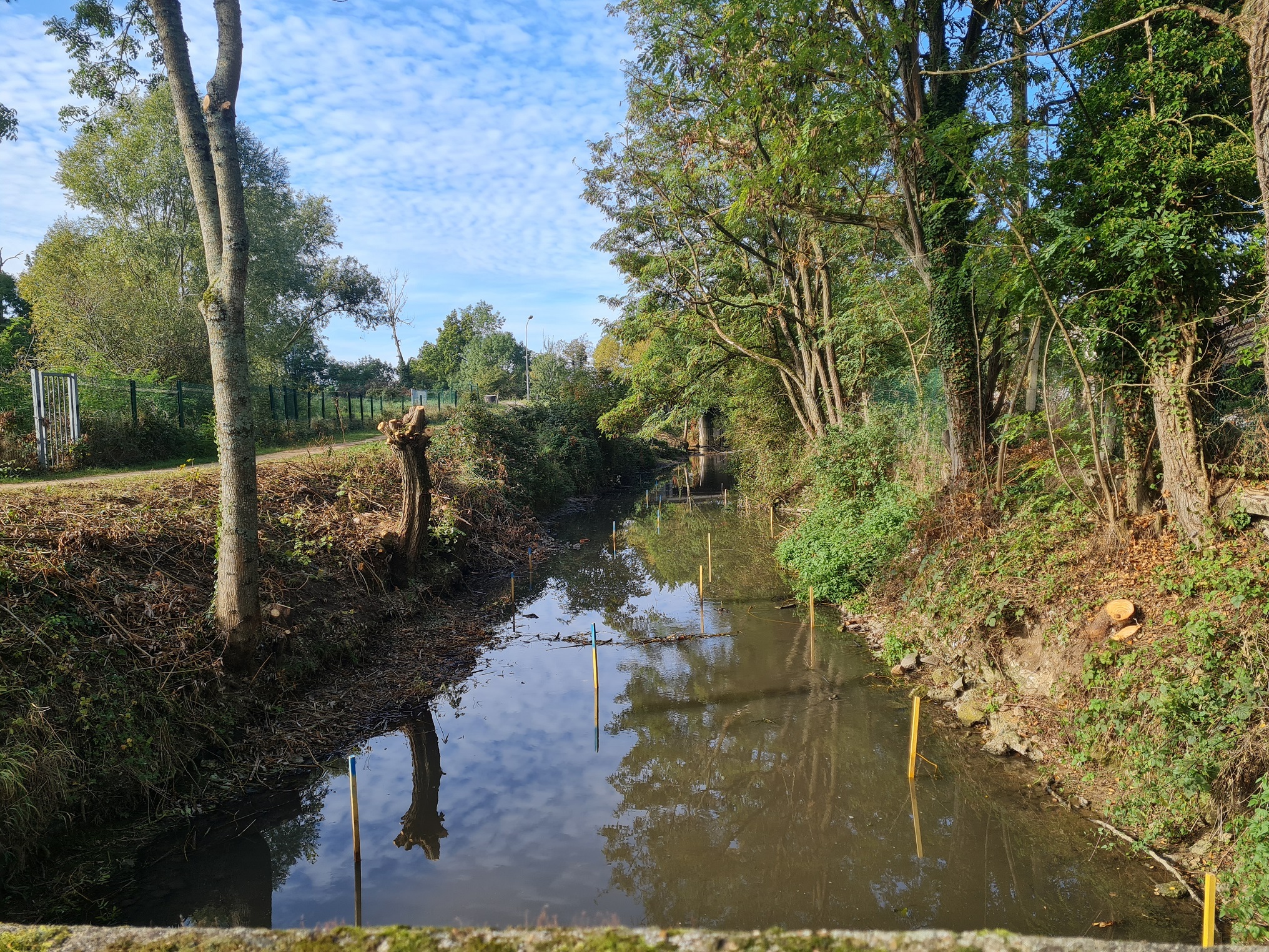 Le piquetage des banquettes à Châlette-sur-Loing - 05/10/2023