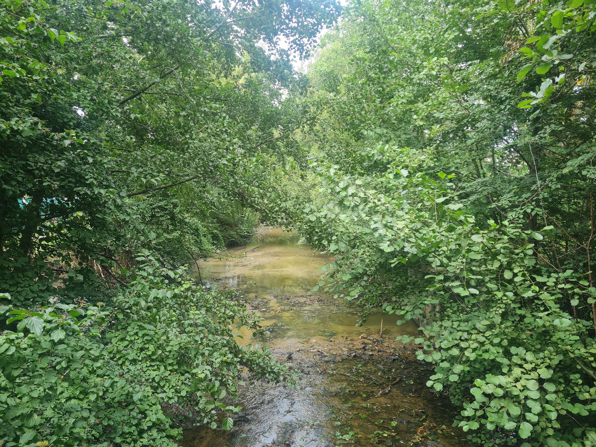 Le barrage de Montalibert avant les travaux - 11/08/2023 