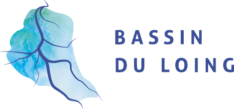 Bassin du Loing